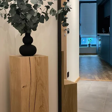 Apartment Kvartal Lux *